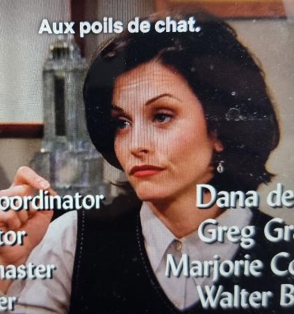 Monica allergique aux poils de chat